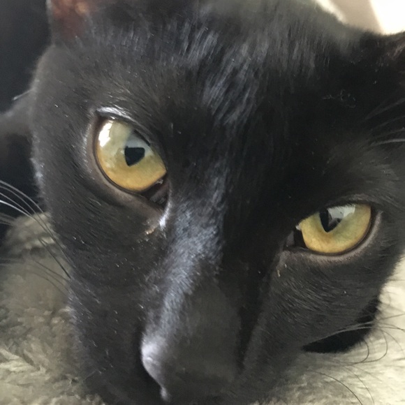 Meet your Posher, Kimberly - Picture 1 of 1